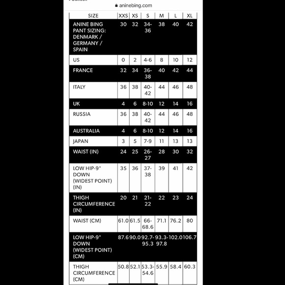 ANINE BING Kinsley Shorts BNWT/BNIB (size 2) - Picture 9 of 9